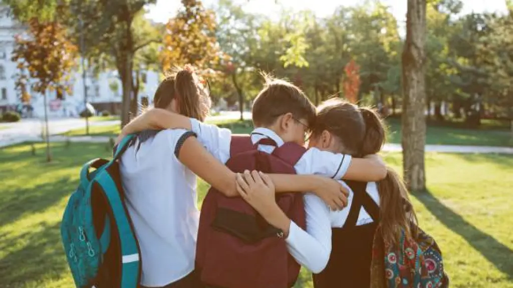 Las amistades saludables actúan como amortiguadores contra diversos factores de riesgo., Cedida