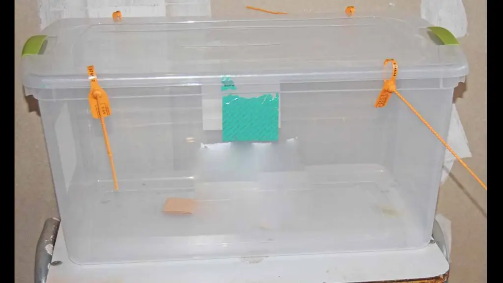 Elecciones, Archivo La Tribuna