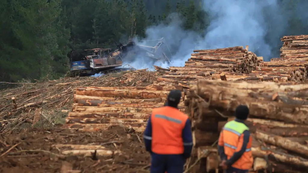 La ONG Campo Seguro llamó a proteger los derechos humanos de los propietarios agrícolas y trabajadores cuando estos casos de desplazamiento forzado son generados por la intimidación.
