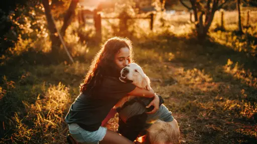 Conozca los beneficios de convivir con perros y cómo su compañía mejora la salud mental de las personas 