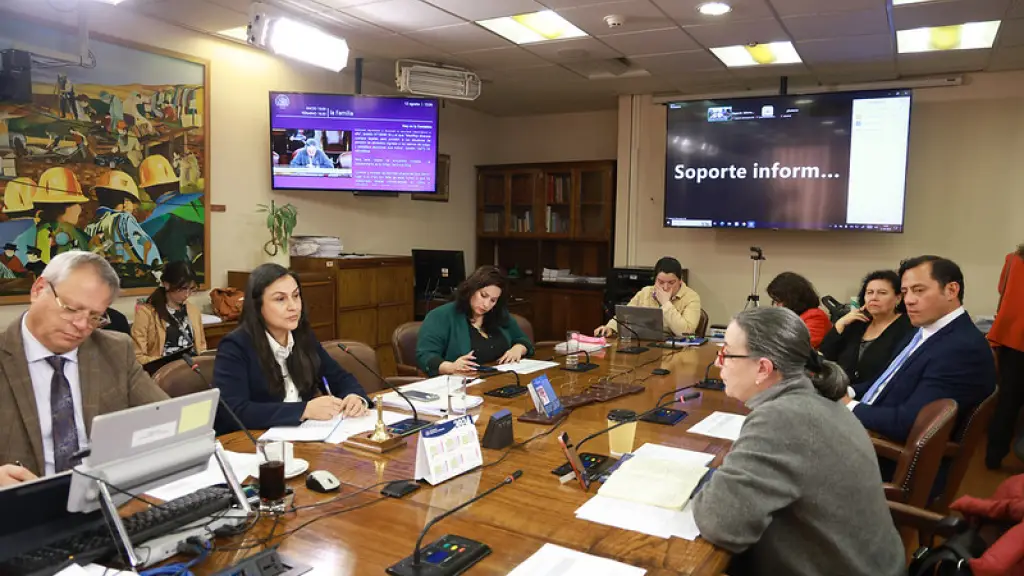 Comisión de familia , cámara.cl 