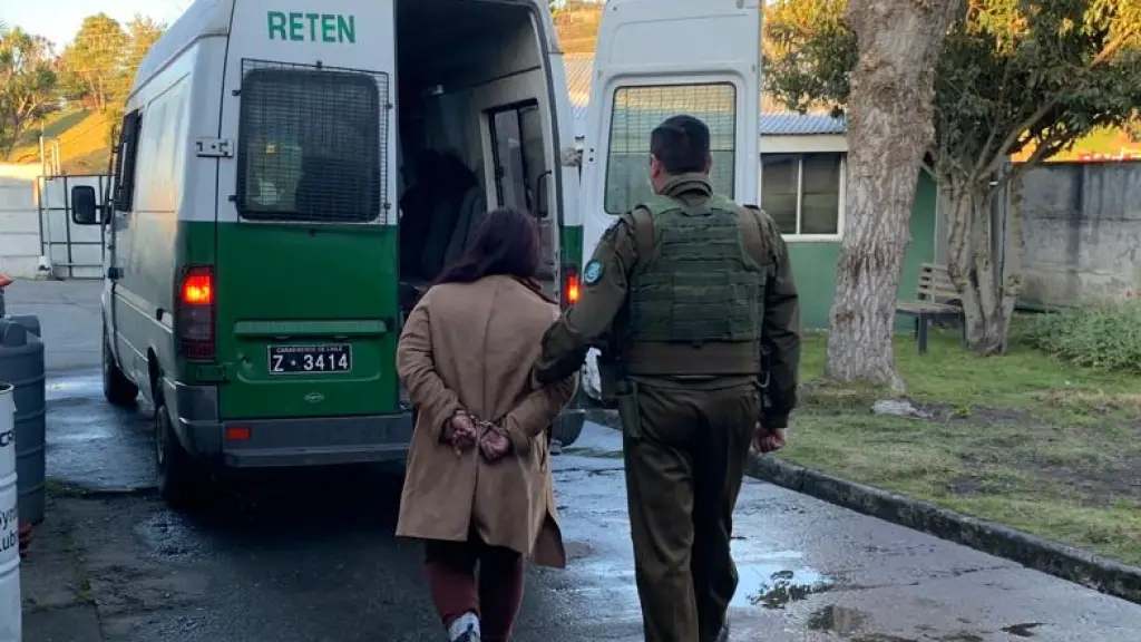 Mujer detenida por carabineros (contexto), Carabineros