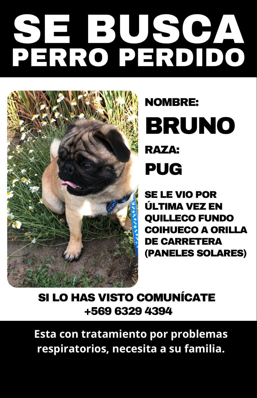 Se busca a  / Cedida 