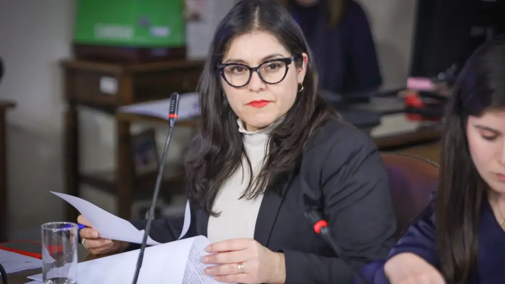 Diputada Karen Medina, gentileza