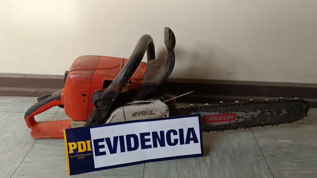 Robo de madera , PDI