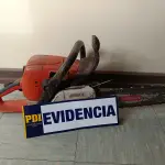 Robo de madera , PDI