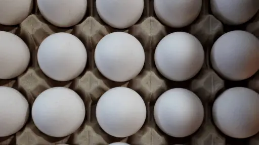 Productores de huevos podrán certificar el cumplimiento de normas medioambientales
