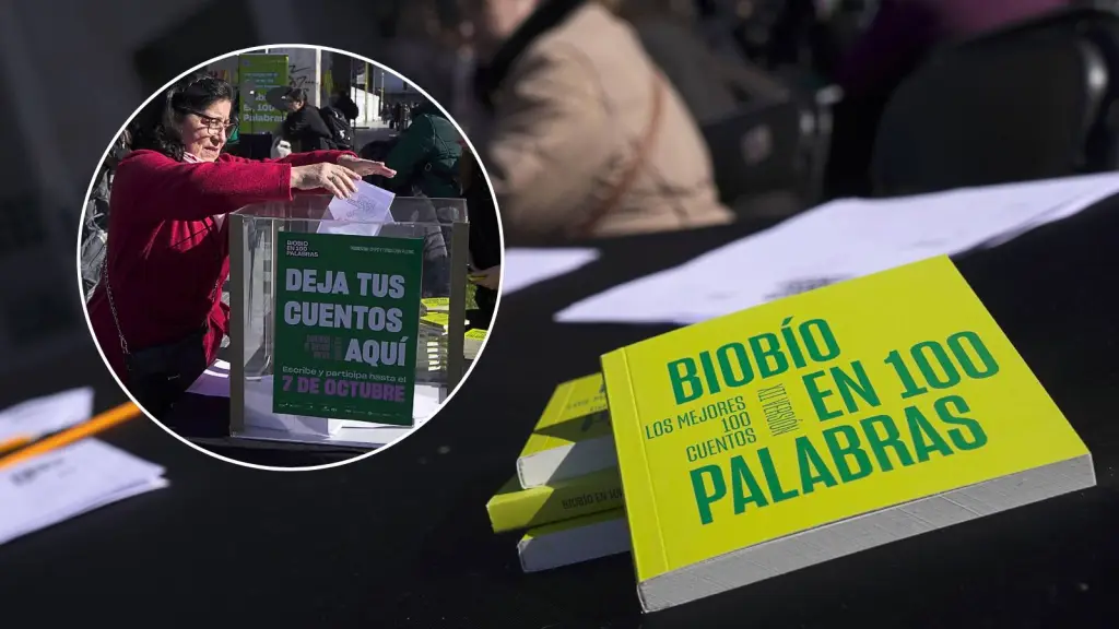 Biobío en 100 Palabras celebrará el día de la niñez con “Biobingo” destacando emblemas de la región, Cedida