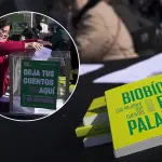 Biobío en 100 Palabras celebrará el día de la niñez con “Biobingo” destacando emblemas de la región, Cedida