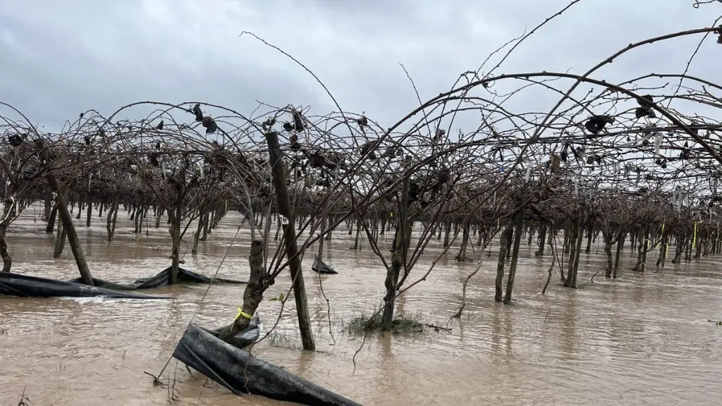 Con las precipitaciones y la cantidad de nieve que ha caído los fruticultores cuentan con un verano seguro, sin problemas de abastecimiento de riego.