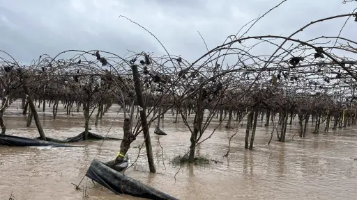Productores de fruta exigen embalses para asegurar disponibilidad de agua y competitividad