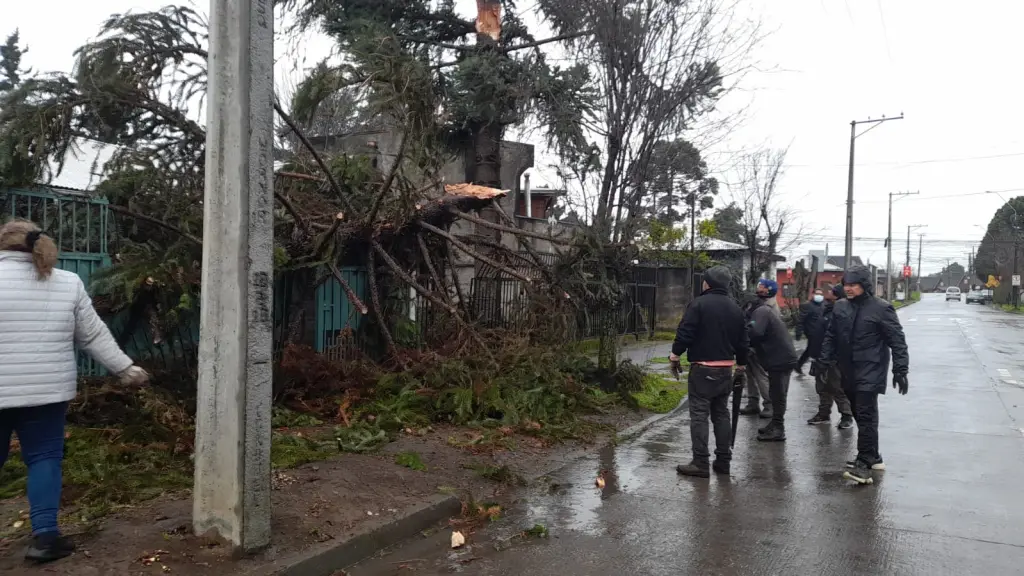 El nuevo sistema frontal traerá consigo fuertes vientos a la zona, La Tribuna