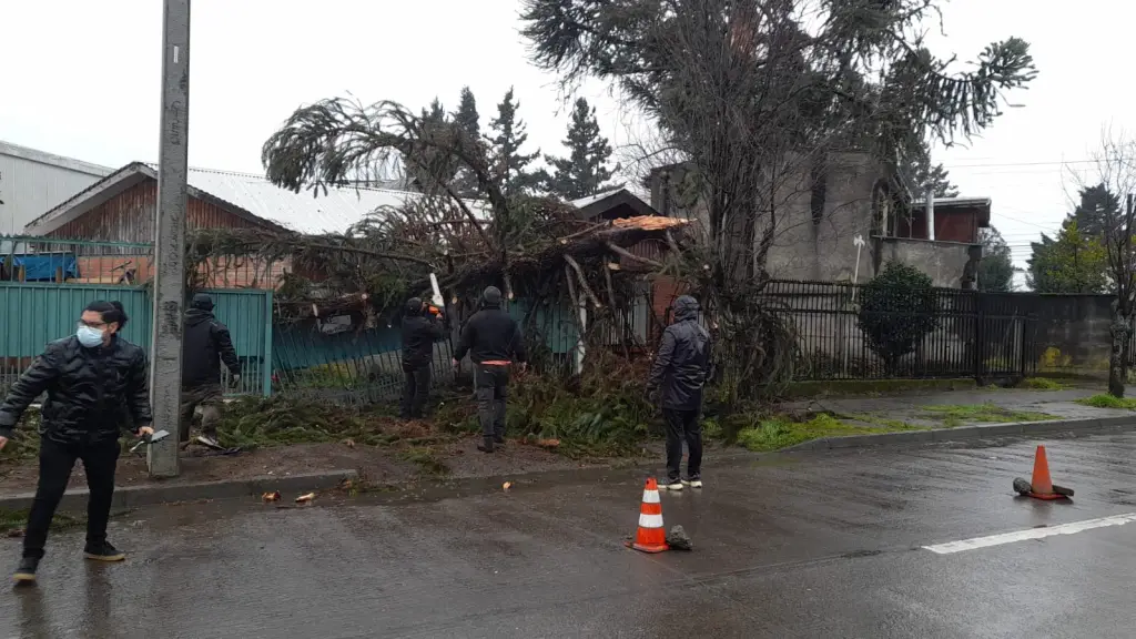 El hecho se registró a la altura del 390 de calle Esmeralda, en Los Ángeles., La Tribuna