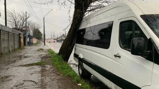 Por fuertes vientos árbol cae sobre vehículo en Avenida Francisco Encina en Los Ángeles