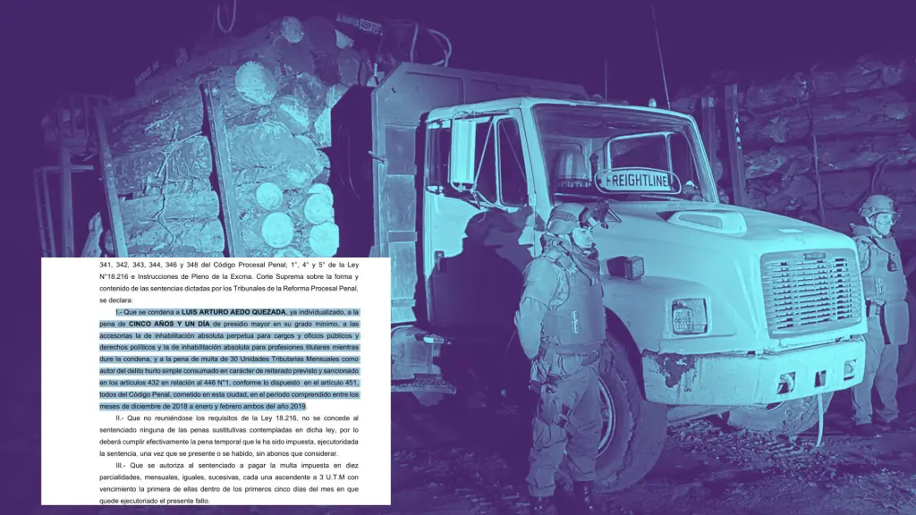 Condena de empresario maderero de Laja por hurto de madera, La Tribuna