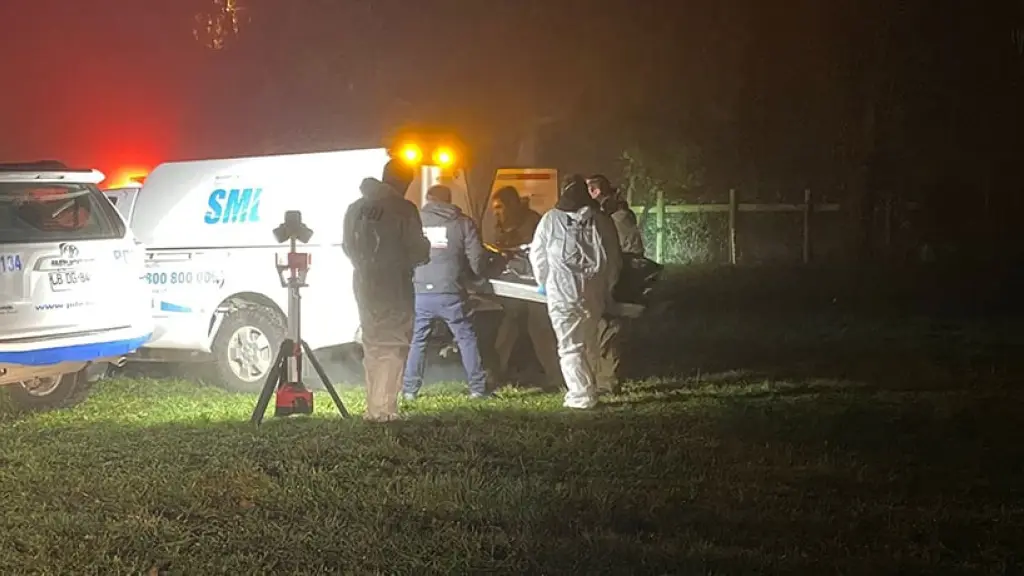 Hombre falleció tras ser aplastado por un árbol.,  Sergio Slva / El Austral - SoyOsorno  