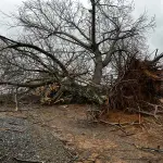 sistema frontal en Santa Bárbara , cedida por la municipalidad