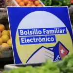 Cuentas de la luz podrán ser pagadas con el Bolsillo Familiar Electrónico, Seremi de Desarrollo Social Biobío