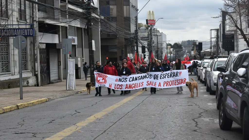 Los funcionarios solicitan que se incorpore el incentivo al retiro y la reducción de la jornada laboral a 40 horas semanales, entre otros., La Tribuna