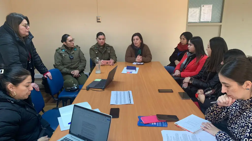 El Circuito Intersectorial de Femicidio sesionó durante este miércoles en Biobío., Cedida