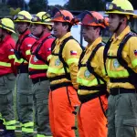 Incendios forestales - Brigadas forestales, La Tribuna