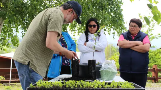 Desarrollan programa Regenera Biobío en cinco comunas de la región del Biobío 