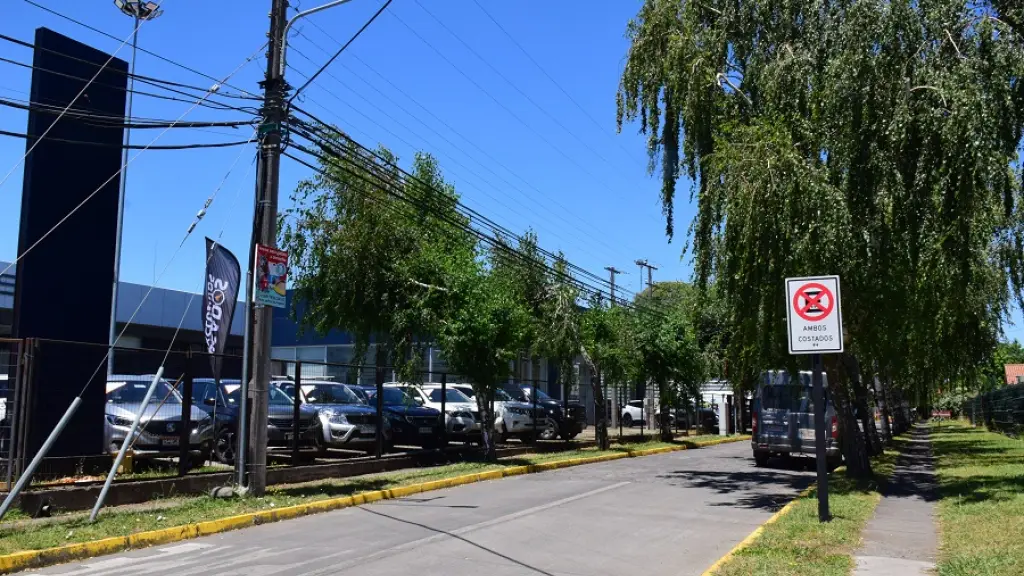 Red de árbol urbano lanzó campaña para elecciones