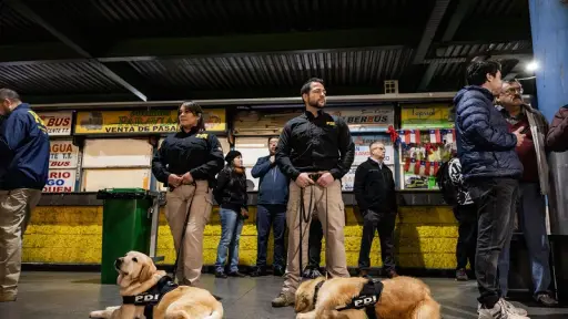 Dos prófugos de la justicia por delitos de robos son detenidos en la Araucanía