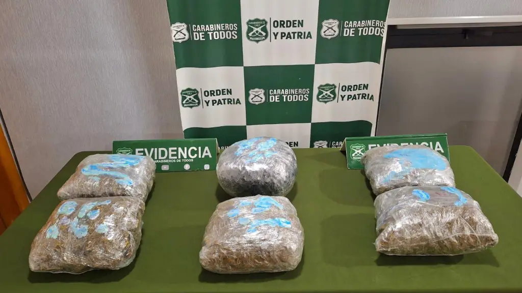 Cabrero: Incautan seis kilogramos de marihuana en control vehicular preventivo de Fiestas Patrias, Cedida