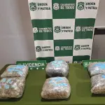 Cabrero: Incautan seis kilogramos de marihuana en control vehicular preventivo de Fiestas Patrias, Cedida