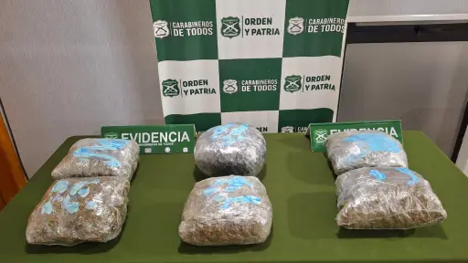 Cabrero: Incautan seis kilogramos de marihuana en control vehicular preventivo de Fiestas Patrias