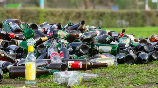 Celebraciones patrias y residuos: Cómo reducir el impacto ambiental durante el 18 de Septiembre