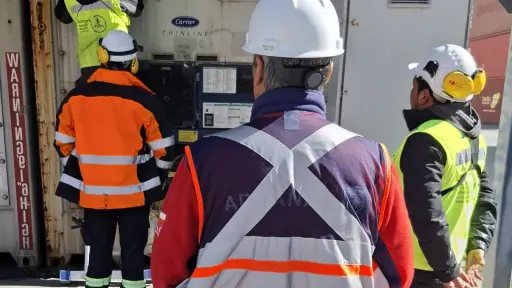 Intensa fiscalización de contenedores y operaciones realiza Aduanas y Capitanía de Puerto en Coronel