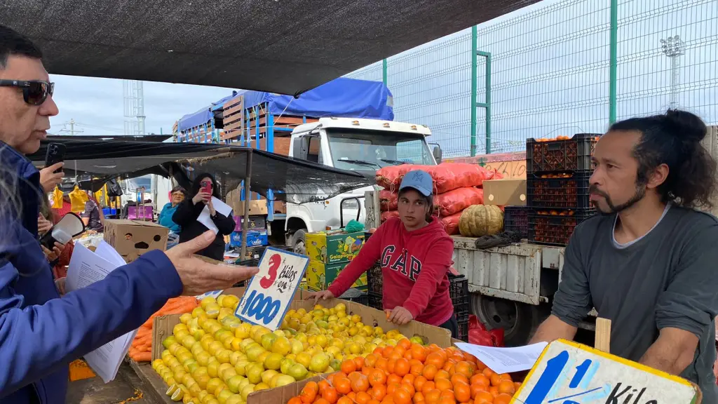 Ley de Ferias Libres: Nuevo proyecto legislativo buscará regular y fortalecer este sector en Chile, Seremi de Economía, Fomento y Turismo del Biobío