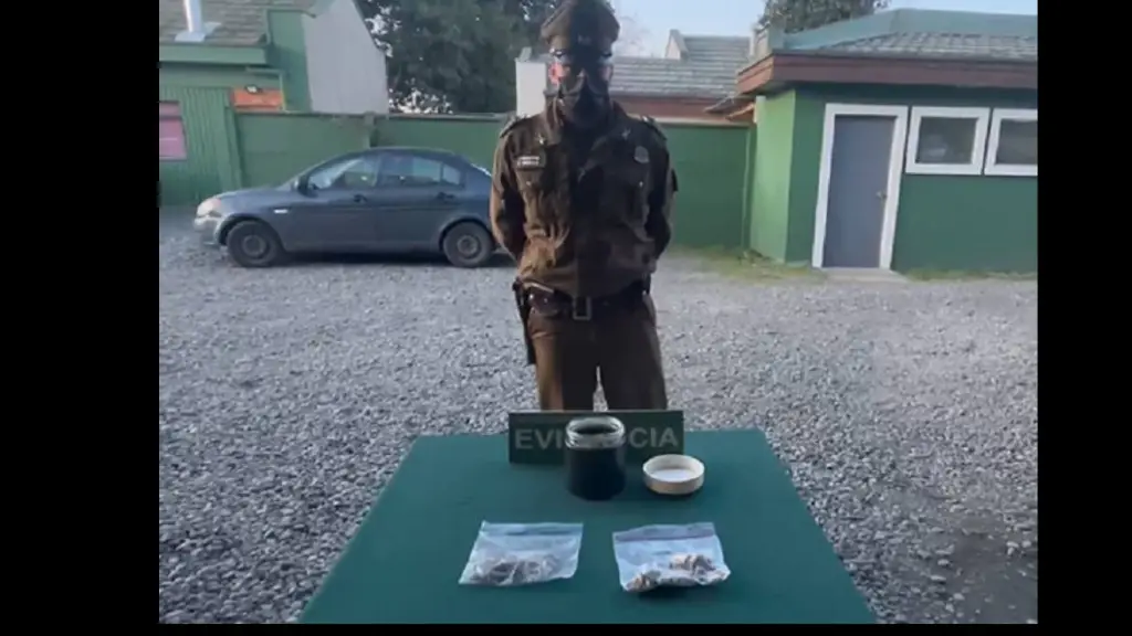 Droga decomisada en Nacimiento, Carabineros