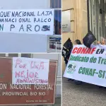 Funcionarios de Conaf Biobío se suman a paro nacional indefinido por razones administrativas, Cedida