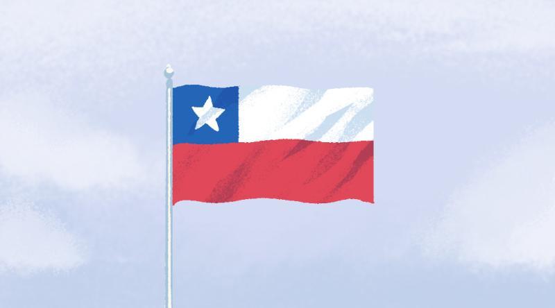 bandera  / gobierno de chile