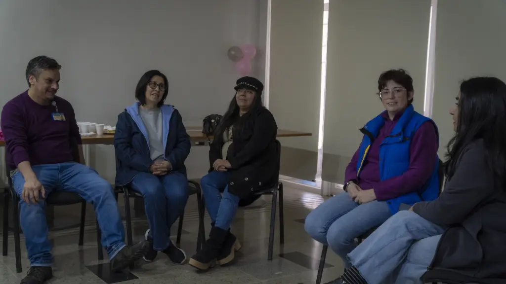 La iniciativa fue liderada por profesionales del Cesfam Entre Ríos, DCS Los Ángeles