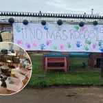 Seguidilla de robos obliga al cierre temporal de jardín infantil El Horizonte en Los Ángeles, La Tribuna