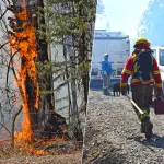 Incendios forestales, Fredy Muñoz, Archivo - La Tribuna