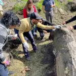 termitas Nacimiento, Municipalidad de Nacimiento