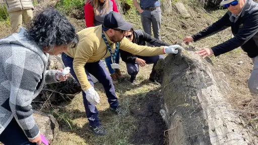 Plaga de termitas: sector Las Pozas de Nacimiento confirma exitosa eliminación