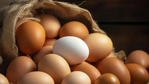 Repunte en la producción de huevos marca recuperación del sector tras la influenza aviar