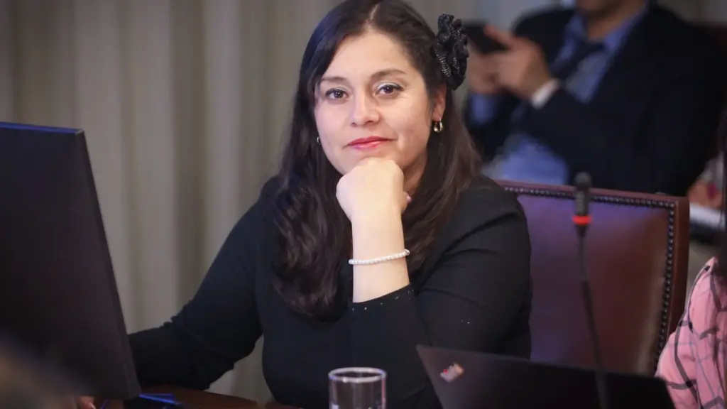 Diputada Karen Medina.