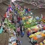Vega frutas y verduras , La Tribuna