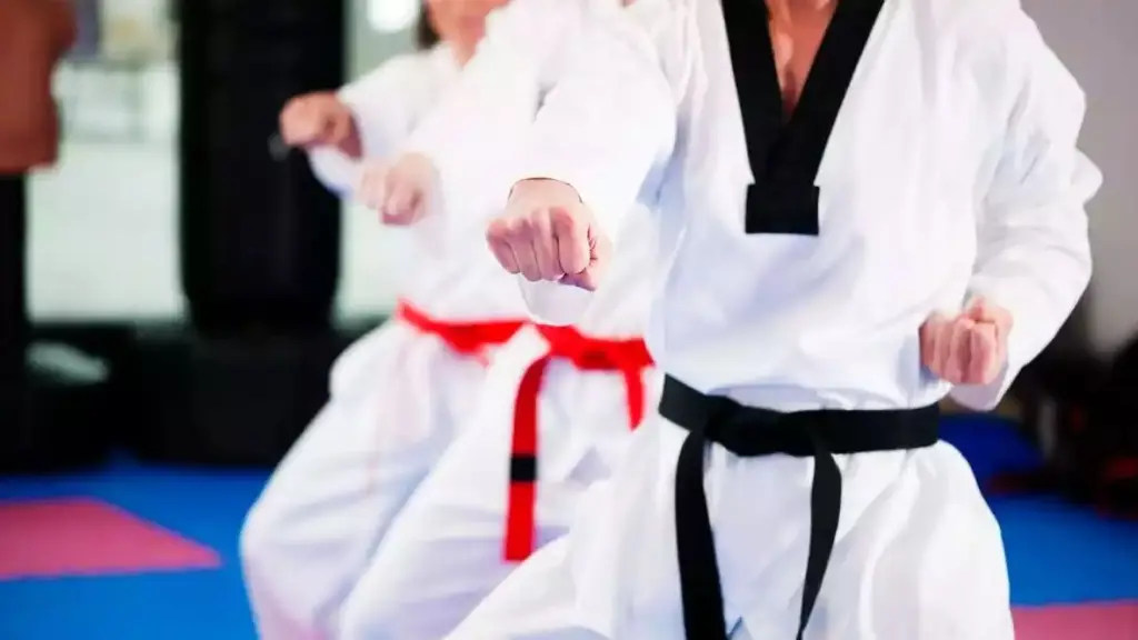 Mulchén será sede nacional de Karate Wko Midori, Cedida