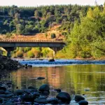 Puente Granaderos - Mulchén , Google