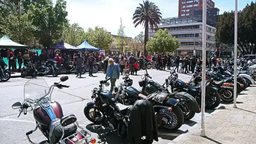 Harlistas se volverán a reunir en Los Ángeles para el Toy Run 2024