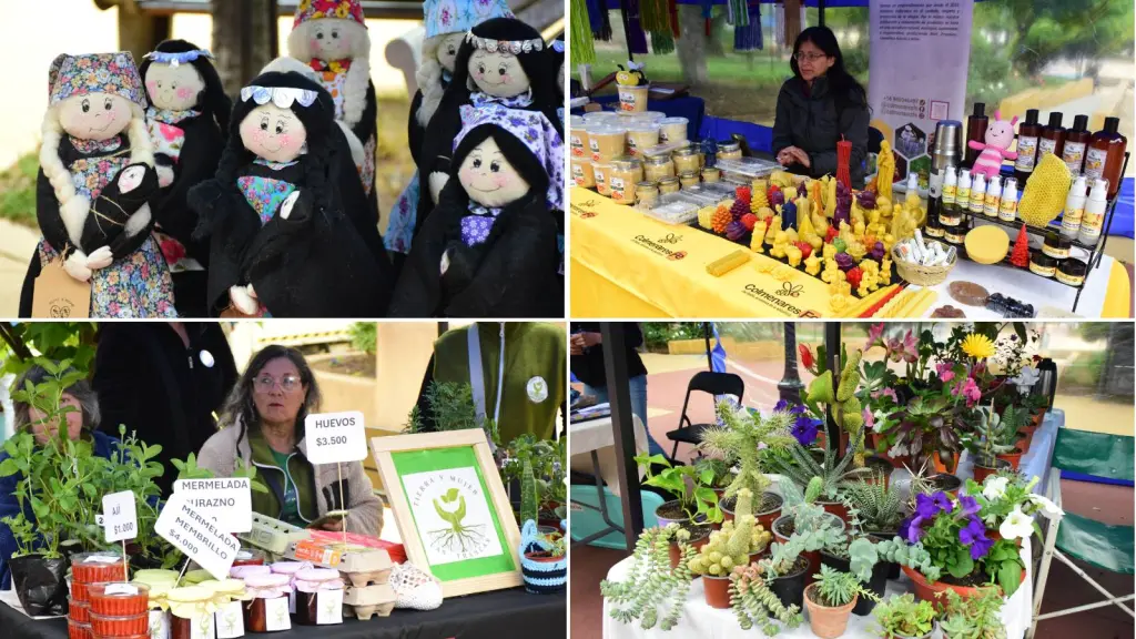 Feria de Emprendimiento: Un espacio para mujeres emprendedoras de la Provincia de Biobío, La Tribuna