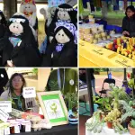 Feria de Emprendimiento: Un espacio para mujeres emprendedoras de la Provincia de Biobío, La Tribuna